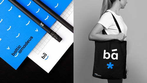 Baltic Amadeus 定制软件开发中的品牌形象与软件设计融合之道