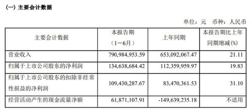 研发投入缩减揭示行业挑战 中科蓝讯半年报映射IC设计业深层困境