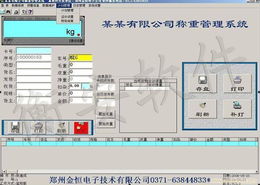 网络版实时视频监控称重管理软件系统开发设计分析